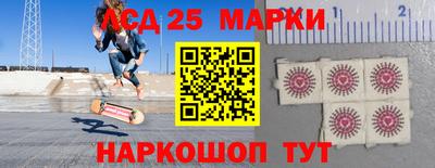 амф Бердск