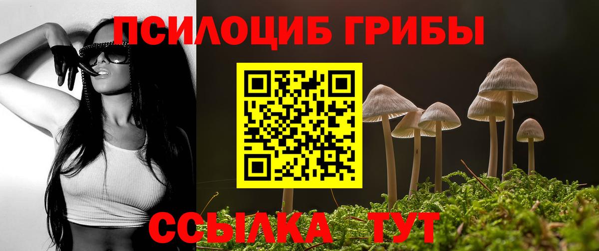 Псилоцибиновые грибы Cubensis  Вход с VPN  Борзя 